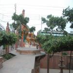 Vraj-Yatra-2014- (1133)